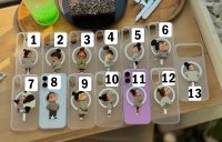 قاب دخترانه شیائومی نوت 13